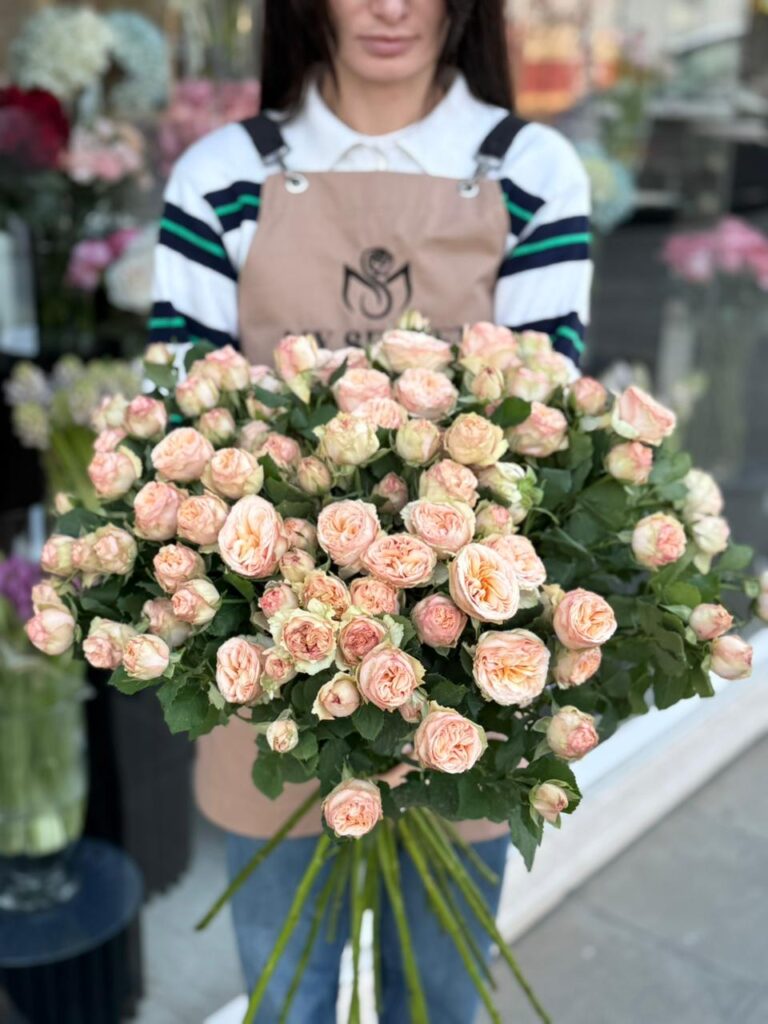 Rose Pich Bombastic